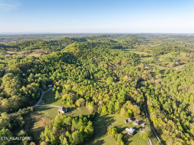 394 Brunner Rd, Sweetwater, TN 37874 - photo 46