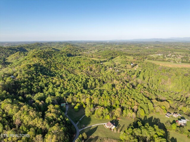 394 Brunner Rd, Sweetwater, TN 37874 - photo 47