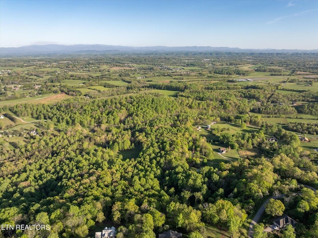 394 Brunner Rd, Sweetwater, TN 37874 - photo 49