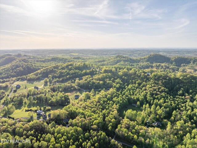 394 Brunner Rd, Sweetwater, TN 37874 - photo 50