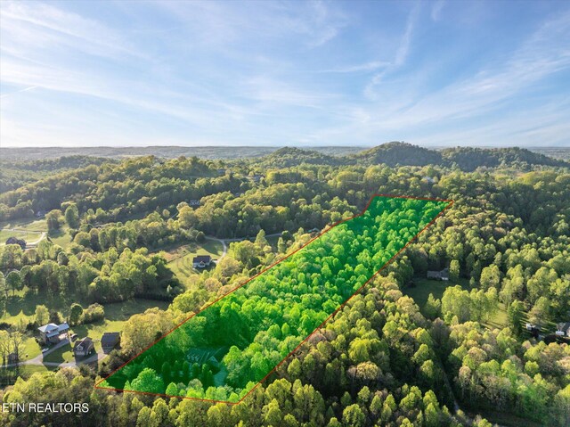 394 Brunner Rd, Sweetwater, TN 37874 - photo 51