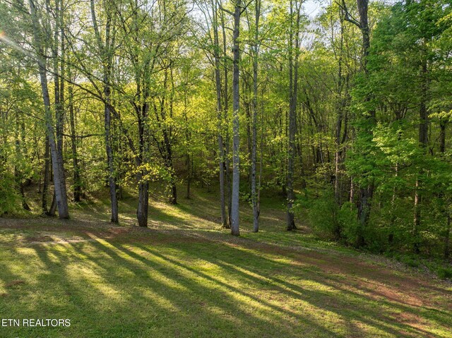 394 Brunner Rd, Sweetwater, TN 37874 - photo 53