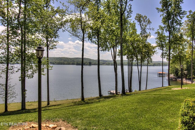 265 E Shore Dr, Rockwood, TN 37854 - photo 3