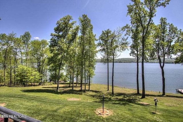 265 E Shore Dr, Rockwood, TN 37854 - photo 20