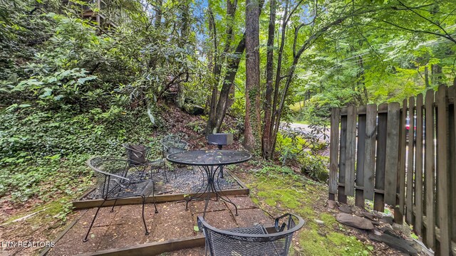 1204 N Baden Dr, Gatlinburg, TN 37738 - photo 24