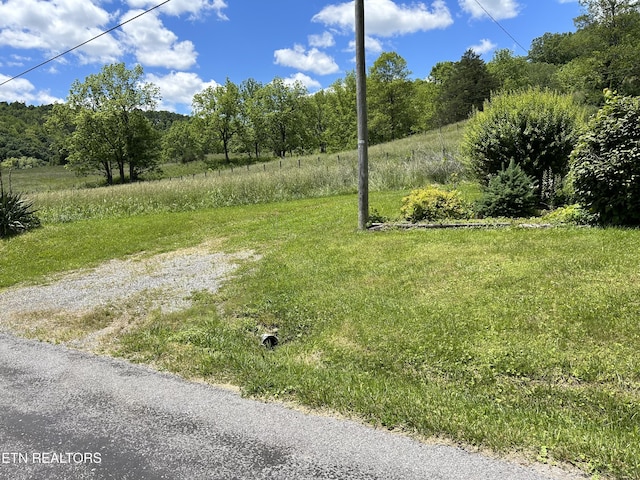 4221 Old Friendship Rd, Jonesville, VA 24263 - photo 2