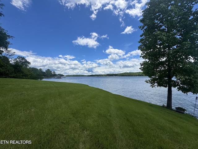 592 Eagle Point Dr, Rockwood, TN 37854 - photo 6