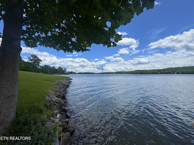 592 Eagle Point Dr, Rockwood, TN 37854 - photo 8