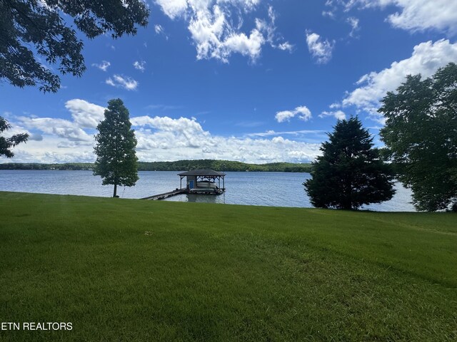 592 Eagle Point Dr, Rockwood, TN 37854 - photo 9