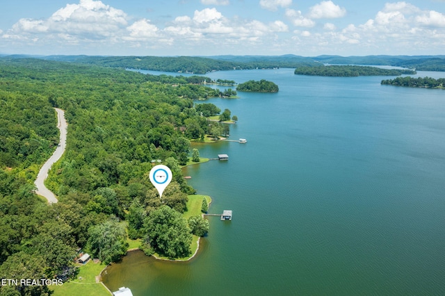 592 Eagle Point Dr, Rockwood, TN 37854 - photo 26