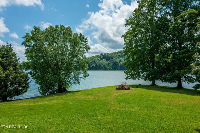 592 Eagle Point Dr, Rockwood, TN 37854 - photo 23