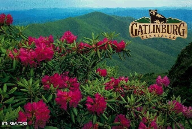 1695 Misty Hollow Way, Gatlinburg, TN 37738 - photo 46