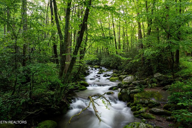 1695 Misty Hollow Way, Gatlinburg, TN 37738 - photo 40