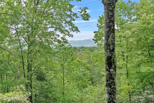 1695 Misty Hollow Way, Gatlinburg, TN 37738 - photo 44