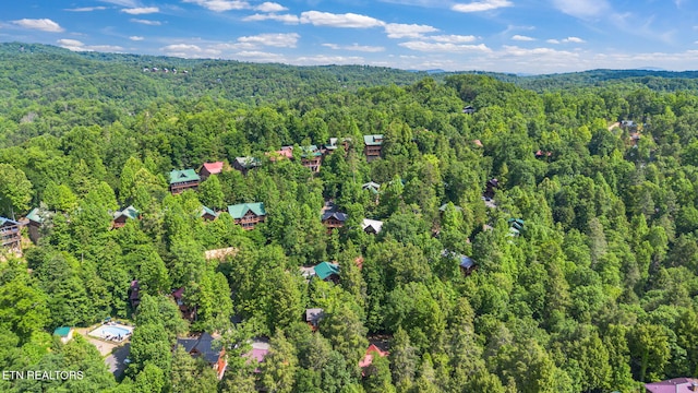 1695 Misty Hollow Way, Gatlinburg, TN 37738 - photo 50