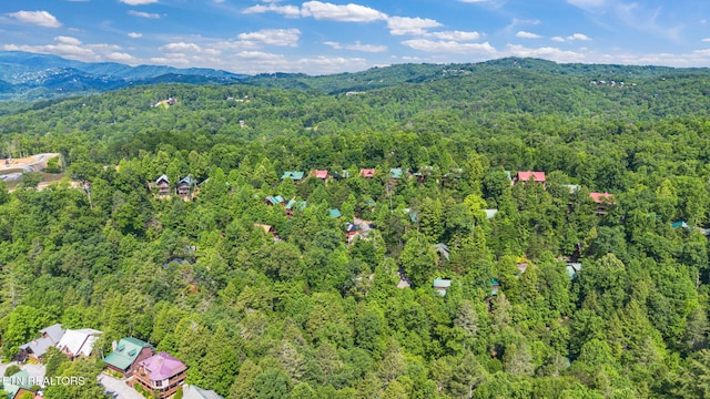 1695 Misty Hollow Way, Gatlinburg, TN 37738 - photo 51