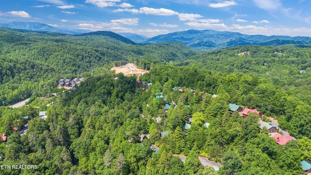 1695 Misty Hollow Way, Gatlinburg, TN 37738 - photo 52