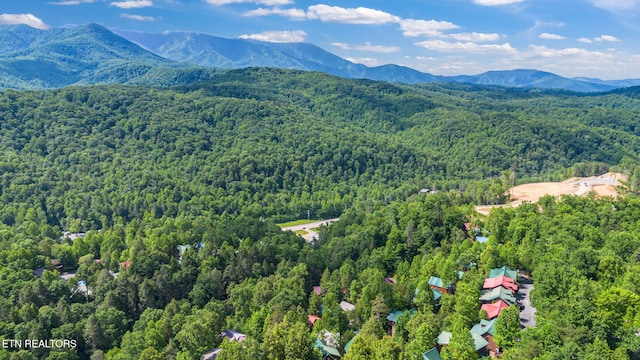 1695 Misty Hollow Way, Gatlinburg, TN 37738 - photo 53