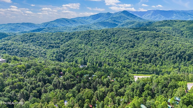 1695 Misty Hollow Way, Gatlinburg, TN 37738 - photo 54