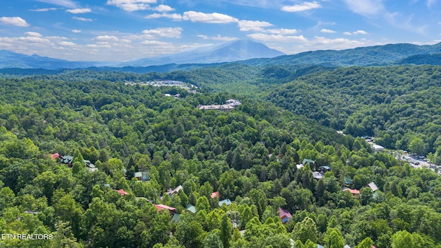 1695 Misty Hollow Way, Gatlinburg, TN 37738 - photo 56