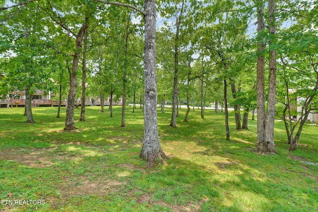 99 Wilshire Heights Dr Unit 99, Crossville, TN 38558 - view of green lawn