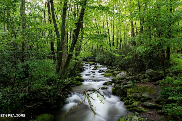 1646 Misty Hollow Way, Gatlinburg, TN 37738 - water view with a forest