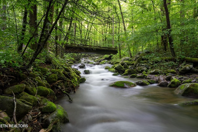 1646 Misty Hollow Way, Gatlinburg, TN 37738 - view of street featuring a view of trees