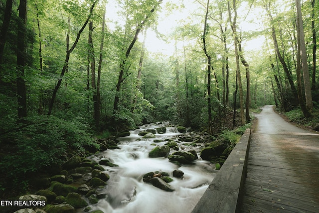 1646 Misty Hollow Way, Gatlinburg, TN 37738 - view of property's community featuring a wooded view
