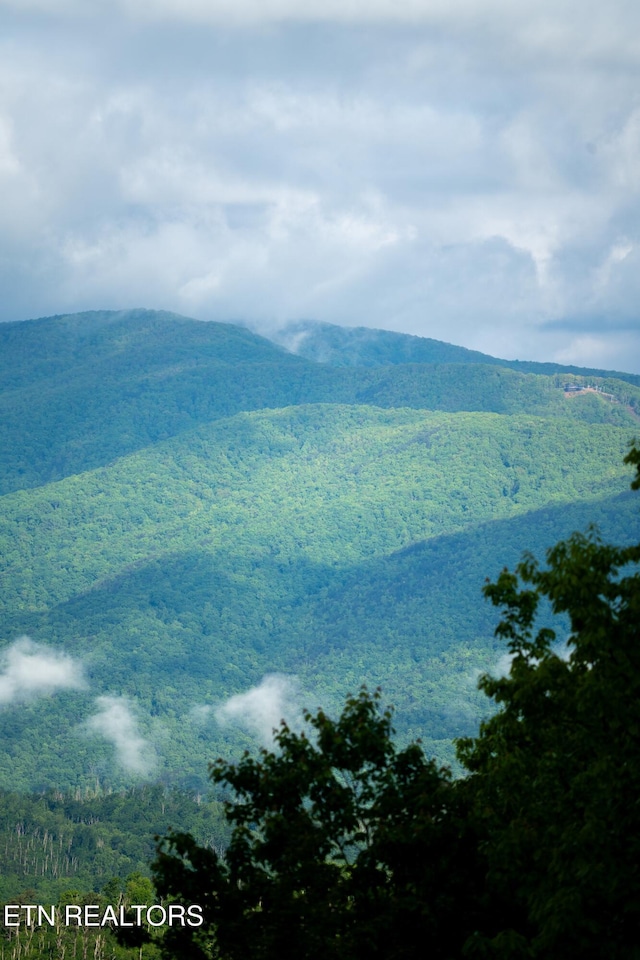 1646 Misty Hollow Way, Gatlinburg, TN 37738 - mountain view with a heavily wooded area
