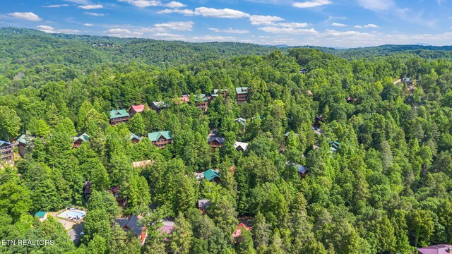 1646 Misty Hollow Way, Gatlinburg, TN 37738 - photo 47