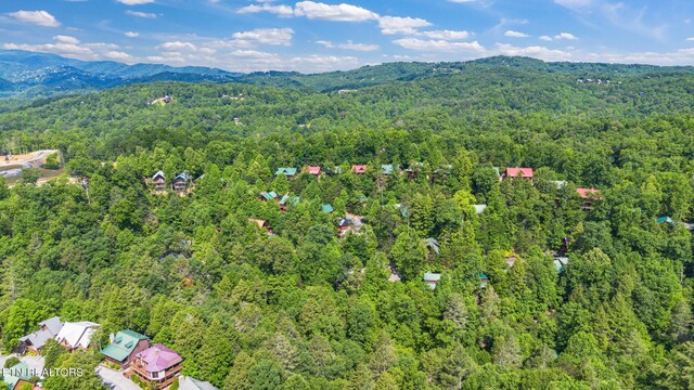 1646 Misty Hollow Way, Gatlinburg, TN 37738 - photo 46