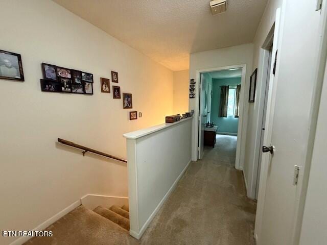 97 Wilshire Heights Dr, Crossville, TN 38558 - photo 14