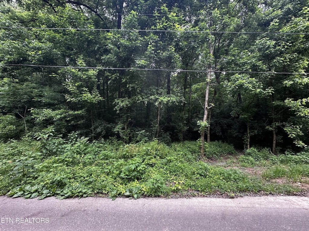 945 Mccubbins Rd, Strawberry Plains, TN 37871