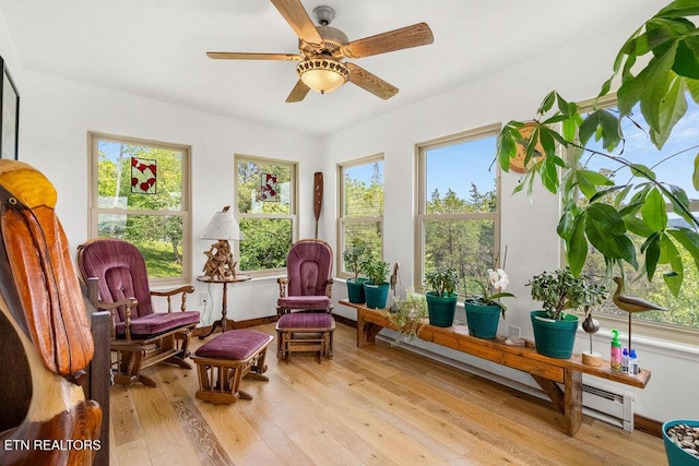 3728 Lighthouse Way, Sevierville, TN 37876 - sunroom with a baseboard radiator