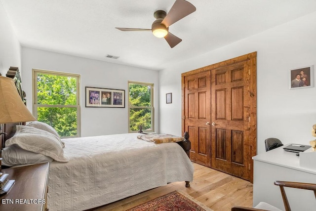 3728 Lighthouse Way, Sevierville, TN 37876 - bedroom featuring light wood-type flooring, multiple windows, and a ceiling fan