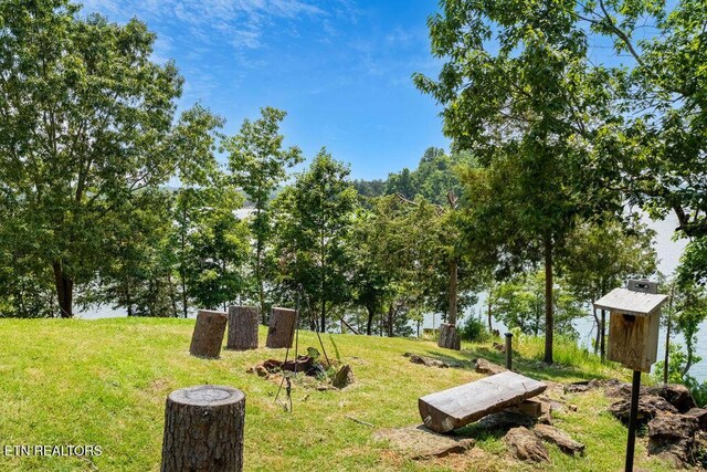 3728 Lighthouse Way, Sevierville, TN 37876 - view of green lawn