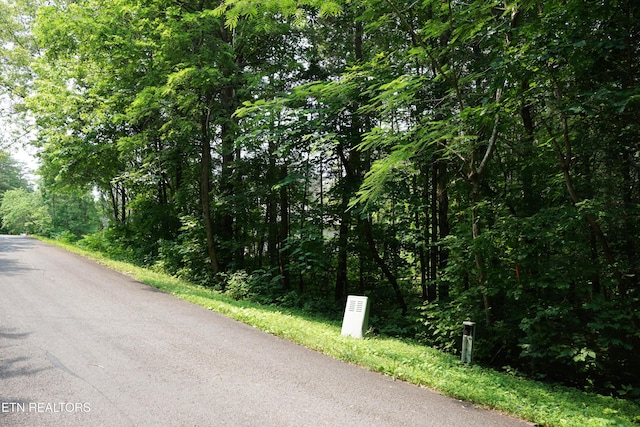100 Elohi Ln, Loudon, TN 37774 - photo 5