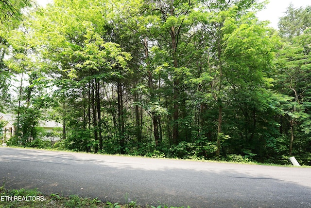 100 Elohi Ln, Loudon, TN 37774 - photo 6