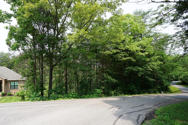 100 Elohi Ln, Loudon, TN 37774 - photo 7