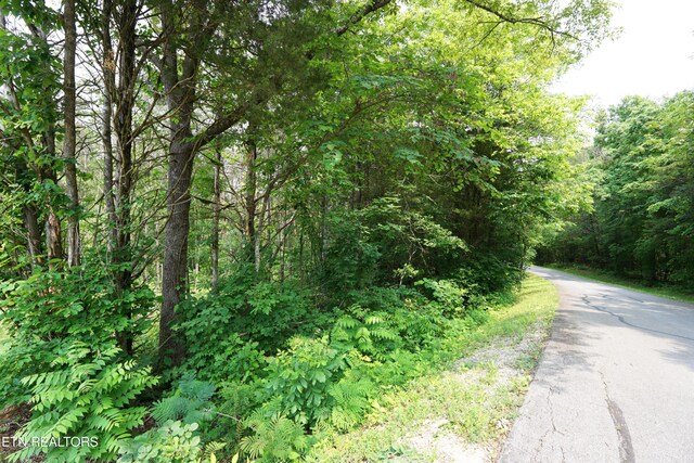 100 Elohi Ln, Loudon, TN 37774 - photo 8