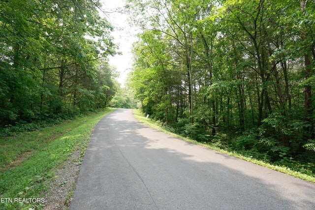 100 Elohi Ln, Loudon, TN 37774 - photo 9