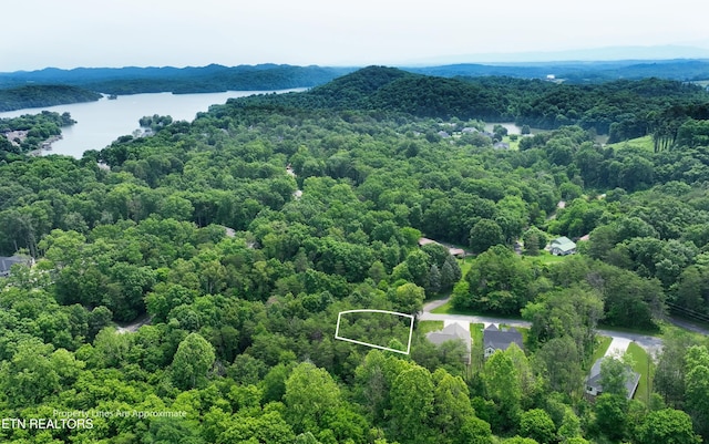 100 Elohi Ln, Loudon, TN 37774 - photo 11