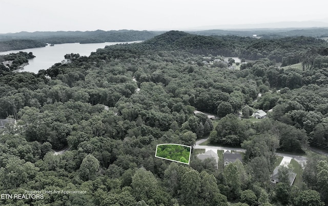 100 Elohi Ln, Loudon, TN 37774 - photo 3