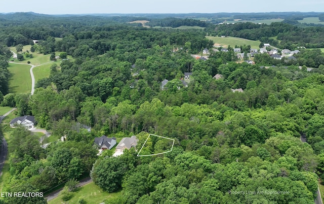 100 Elohi Ln, Loudon, TN 37774 - photo 4