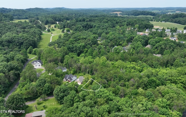 100 Elohi Ln, Loudon, TN 37774 - photo 12