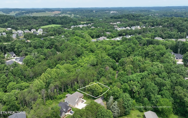 100 Elohi Ln, Loudon, TN 37774 - photo 13