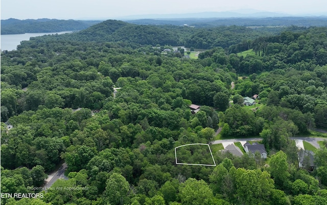 100 Elohi Ln, Loudon, TN 37774 - photo 14