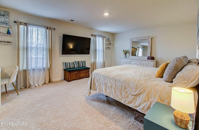 812 Greene Meadow Dr, Talbott, TN 37877 - carpeted bedroom featuring multiple windows and baseboards