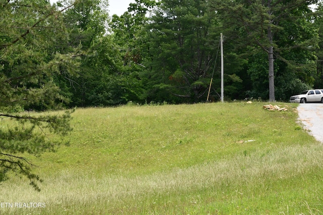 157 Windsong Dr, Helenwood, TN 37755 - photo 8