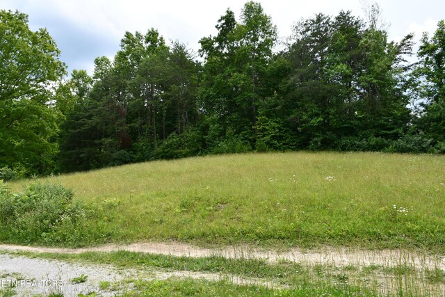 157 Windsong Dr, Helenwood, TN 37755 - photo 10